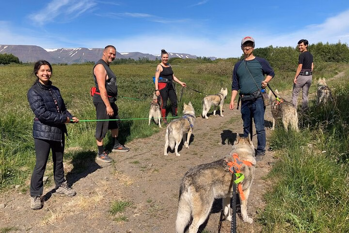 0b0b6e86-b115-4939-b2b5-20bb90a8036b