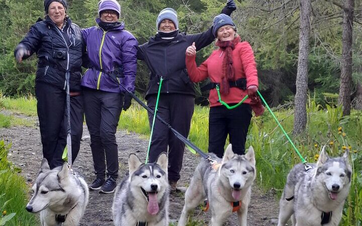 Wandern mit Husky in Akureyri