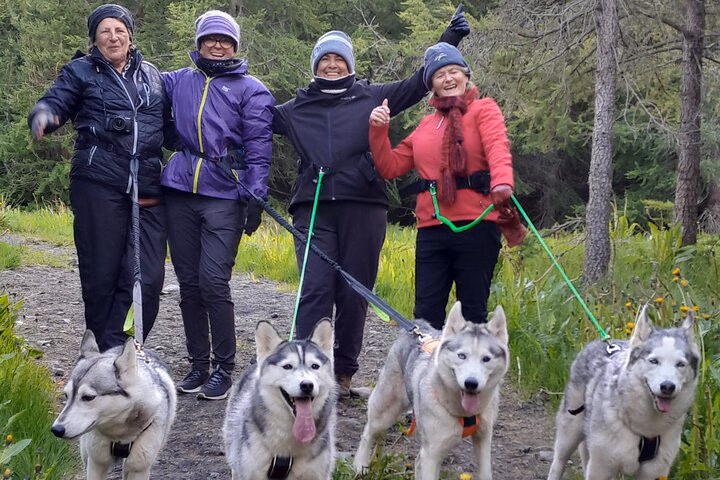 2377b2c8-3f6e-4a98-8566-557f45fcbd98