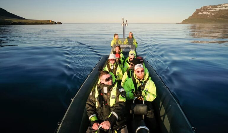 Viking Wildlife RIB Adventure Bootstour ab Seyðisfjörður