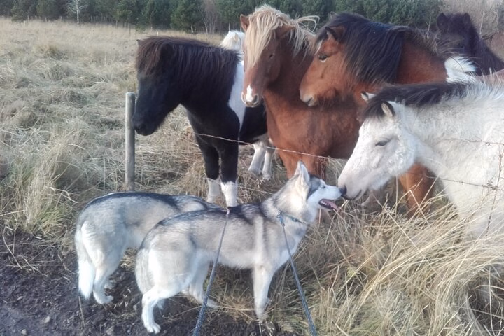 e48c0b91-ed51-45f5-9d9f-76ba2a41a16d